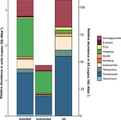 Agricultural Soils Amended With Thermally-Dried Anaerobically-Digested Sewage Sludge Showed Increased Risk of Antibiotic Resistance Dissemination